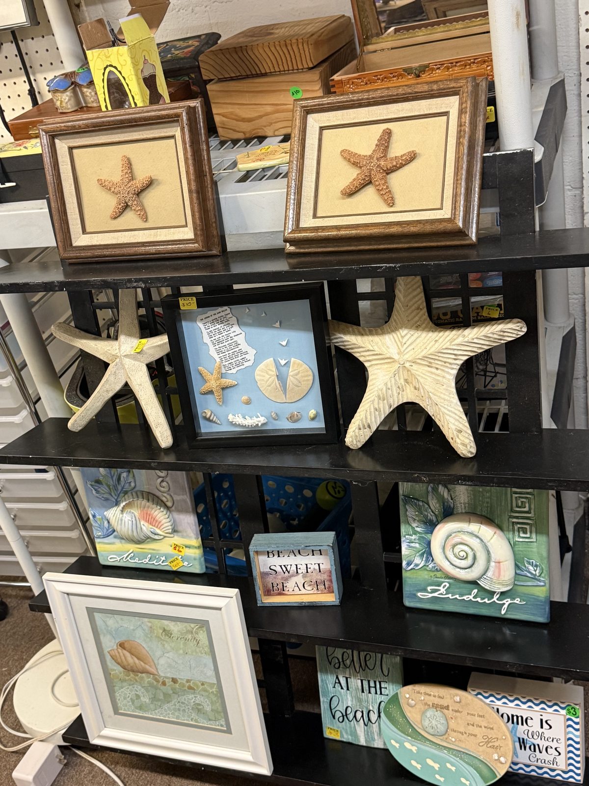 Starfish, shells, and beach-house art on a black shelf.